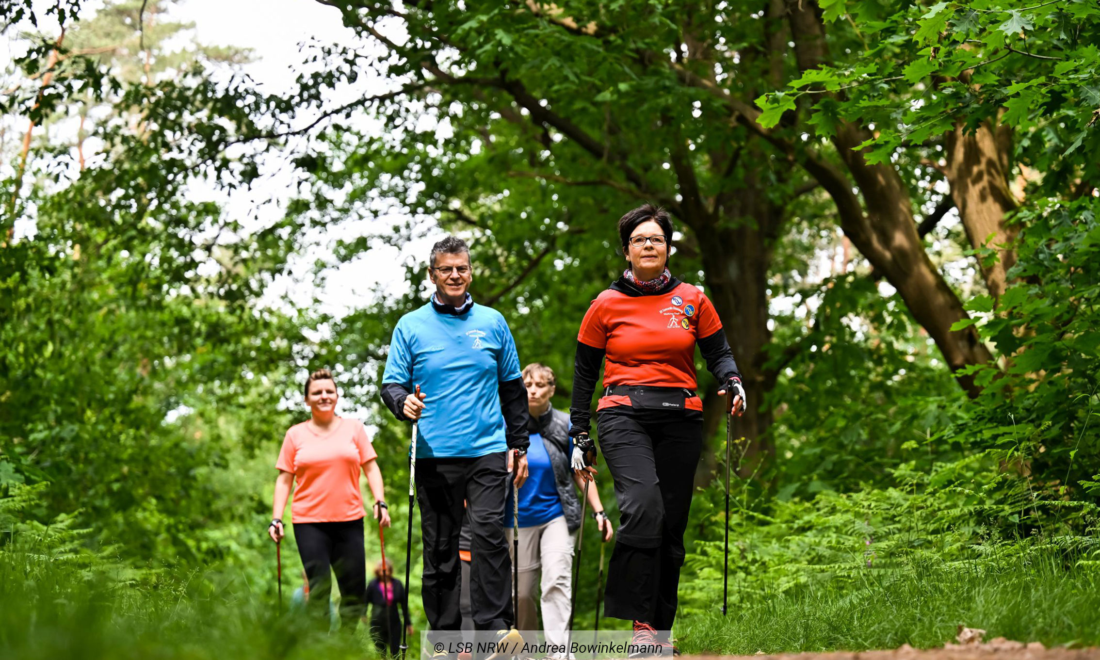 Wandergruppe auf einem Waldweg